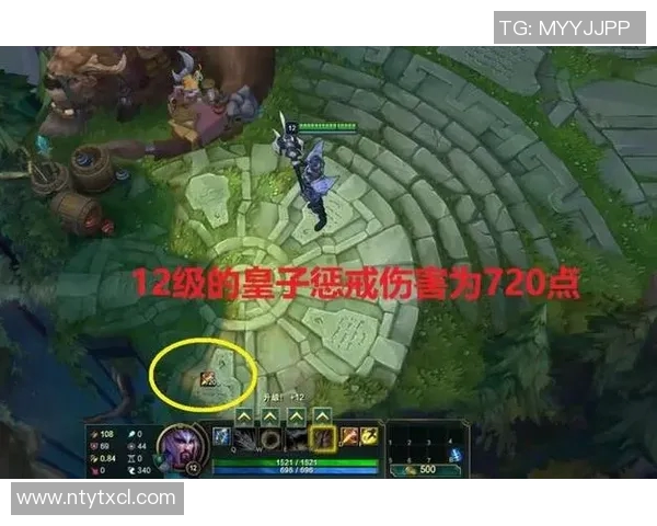 RNG在青年赛中的战术表现分析与点评探讨