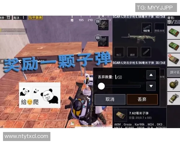 和平精英赛场上的奋斗与荣耀FPX战队成长历程全景回顾