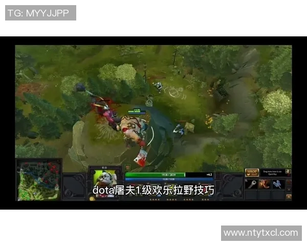 科学提升DOTA2游戏意识的训练方法与技巧分享实时数据